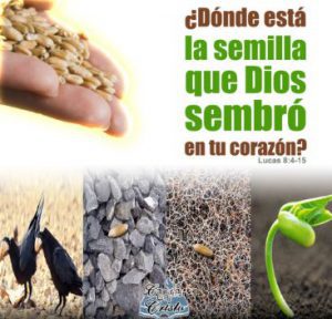La Semilla Mas Grande La Palabra De Dios | Lecturas Cristianas