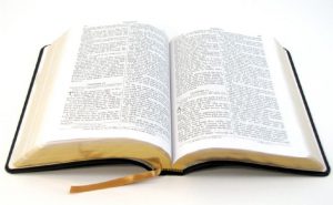 Conoce todos los libros de la biblia â€¢ Antiguo testamento â€¢ Nuevo testamento âœ… â€¢T odos los libros bÃ­blicos â€¢ Libros del antiguo testamento